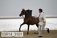 10r14_3101 proof