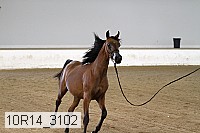 10r14_3102 proof