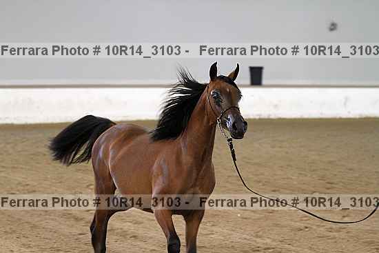 Proof 10r14_3103