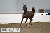 10r14_3108 proof