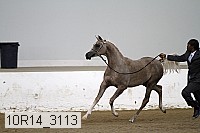10r14_3113 proof