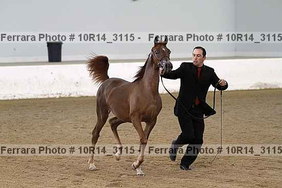 Proof 10r14_3115