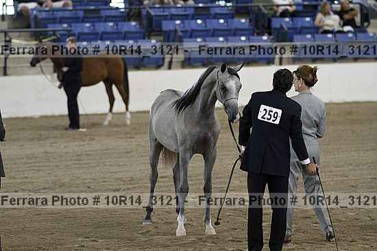 Proof 10r14_3121