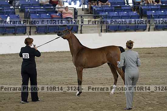 Proof 10r14_3124