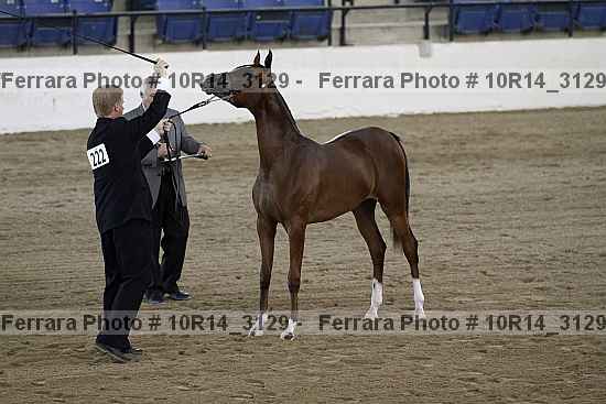 Proof 10r14_3129