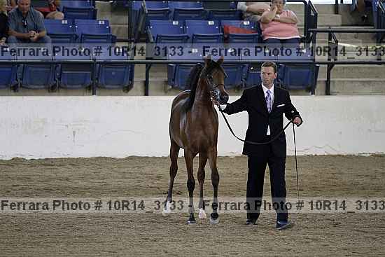 Proof 10r14_3133