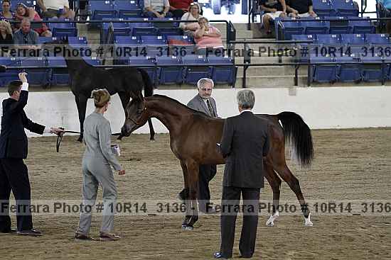 Proof 10r14_3136