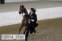 10r14_3141 proof