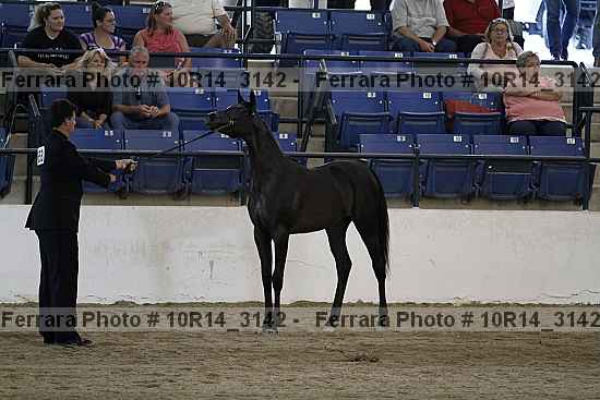 Proof 10r14_3142