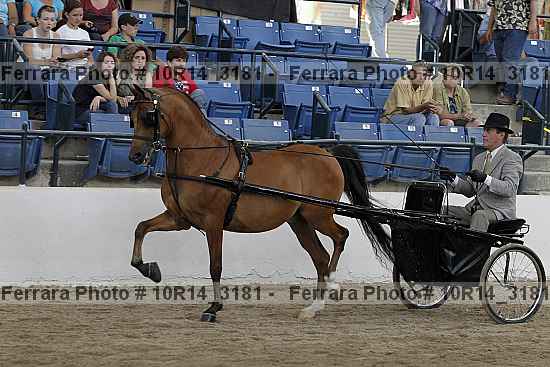 Proof 10r14_3181