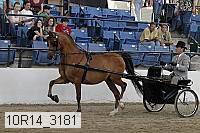 10r14_3181 proof