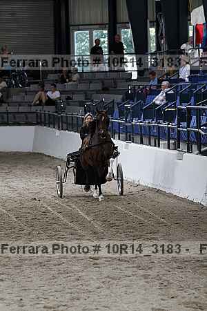 Proof 10r14_3183