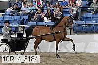 10r14_3184 proof