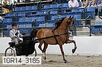 10r14_3185 proof
