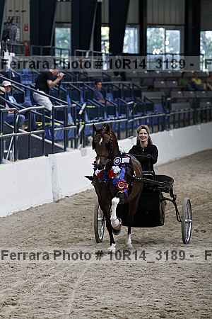 Proof 10r14_3189