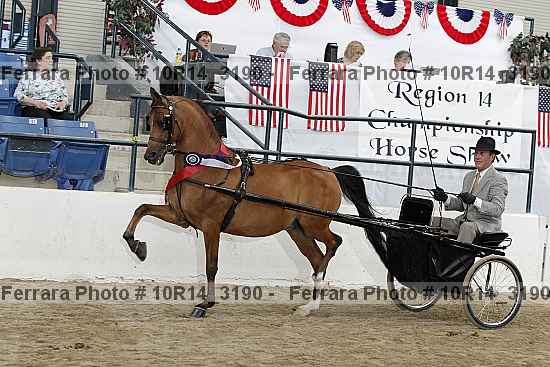 Proof 10r14_3190
