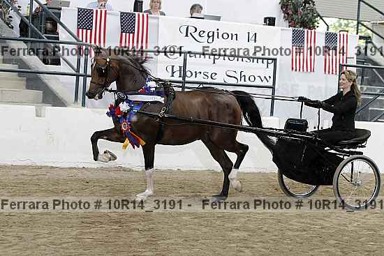 Proof 10r14_3191