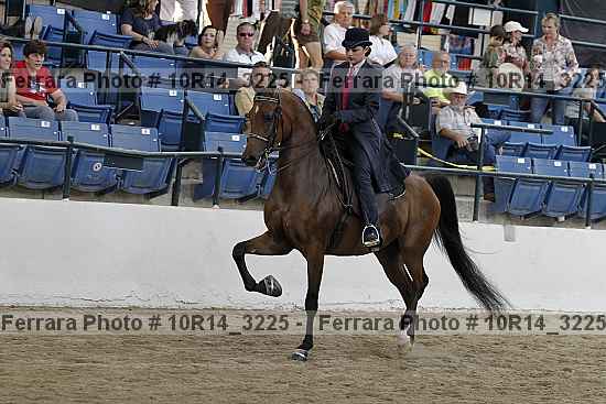 Proof 10r14_3225