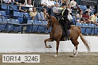 10r14_3246 proof