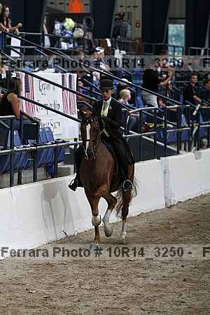 Proof 10r14_3250