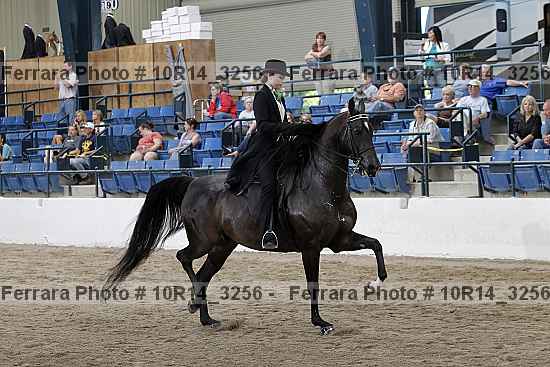 Proof 10r14_3256