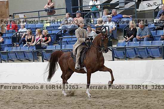 Proof 10r14_3263