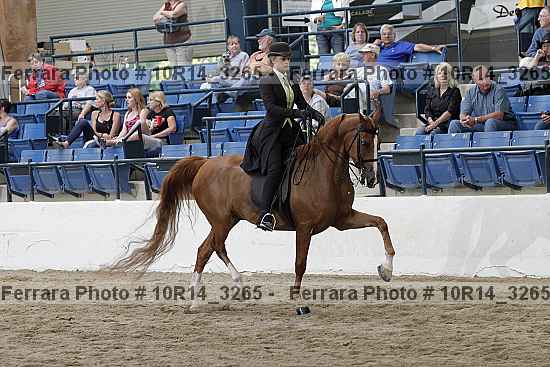 Proof 10r14_3265