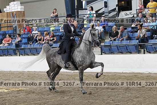 Proof 10r14_3267