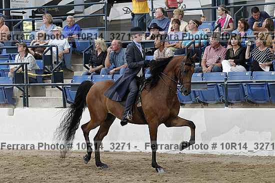 Proof 10r14_3271