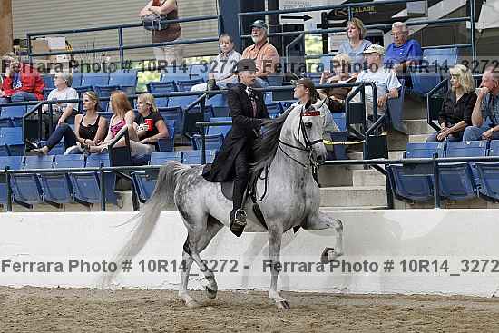 Proof 10r14_3272