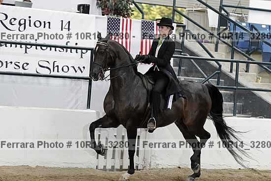 Proof 10r14_3280