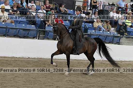 Proof 10r14_3288