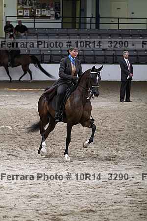 Proof 10r14_3290