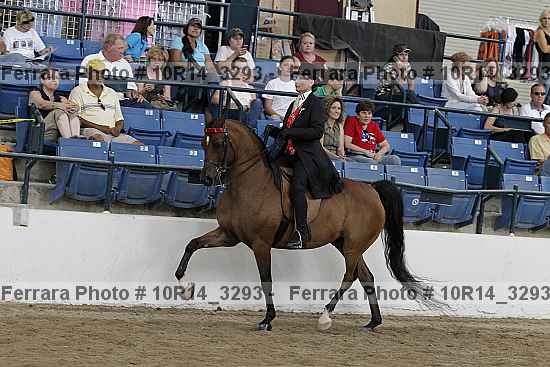 Proof 10r14_3293