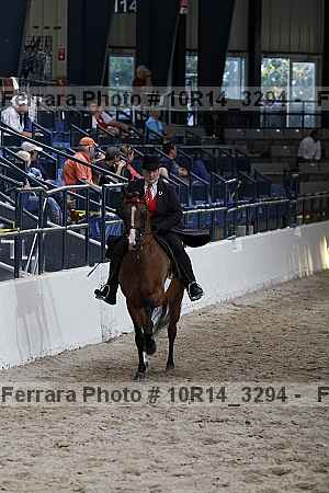 Proof 10r14_3294