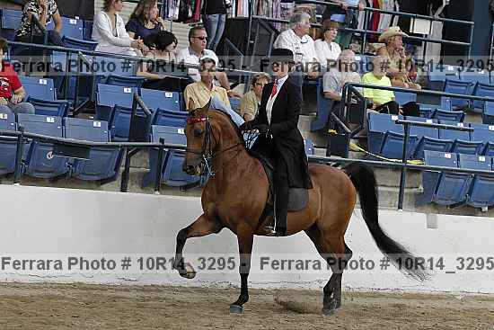 Proof 10r14_3295