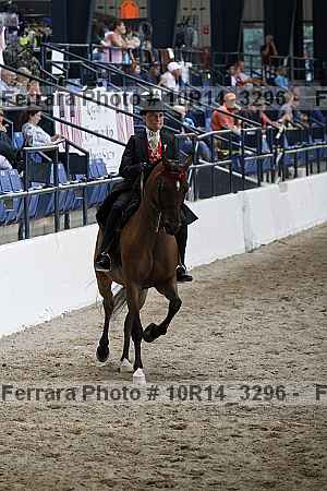 Proof 10r14_3296