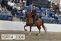 10r14_3304 proof