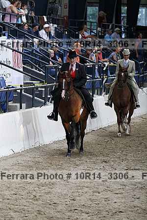 Proof 10r14_3306