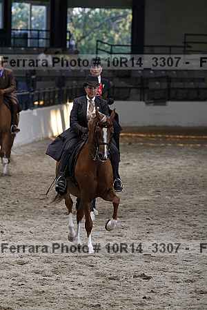 Proof 10r14_3307
