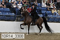 10r14_3308 proof