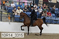 10r14_3315 proof