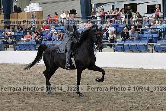 Proof 10r14_3328
