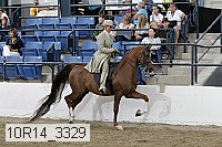 10r14_3329 proof