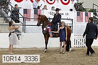 10r14_3336 proof
