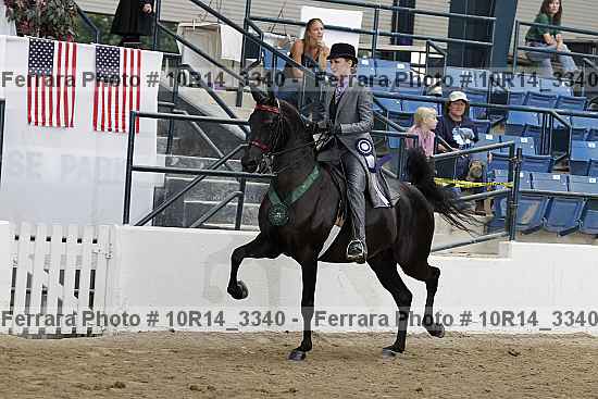 Proof 10r14_3340