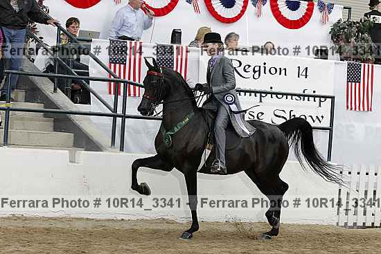 Proof 10r14_3341