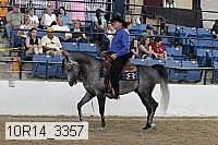 10r14_3357 proof