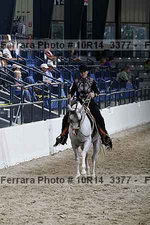 Proof 10r14_3377