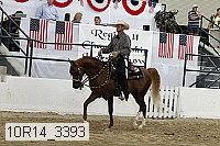 10r14_3393 proof